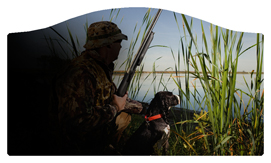 DASHELL-312 Gone Hunting (Duck with Dog)